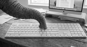ElephantonKeyboardWEB_BW
