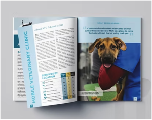 Annual report example