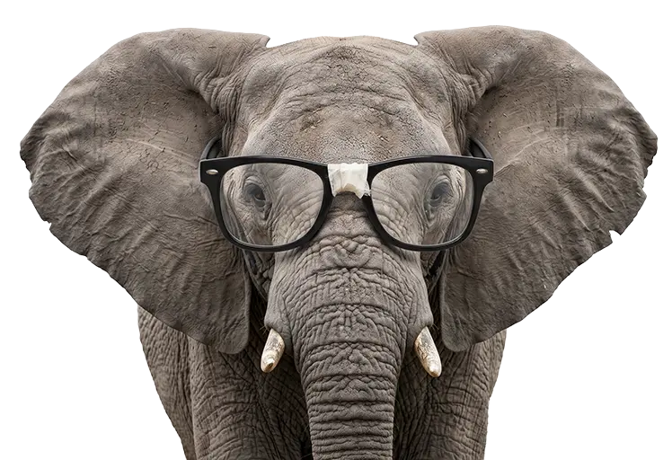 ElephantGlassesBlackFrame