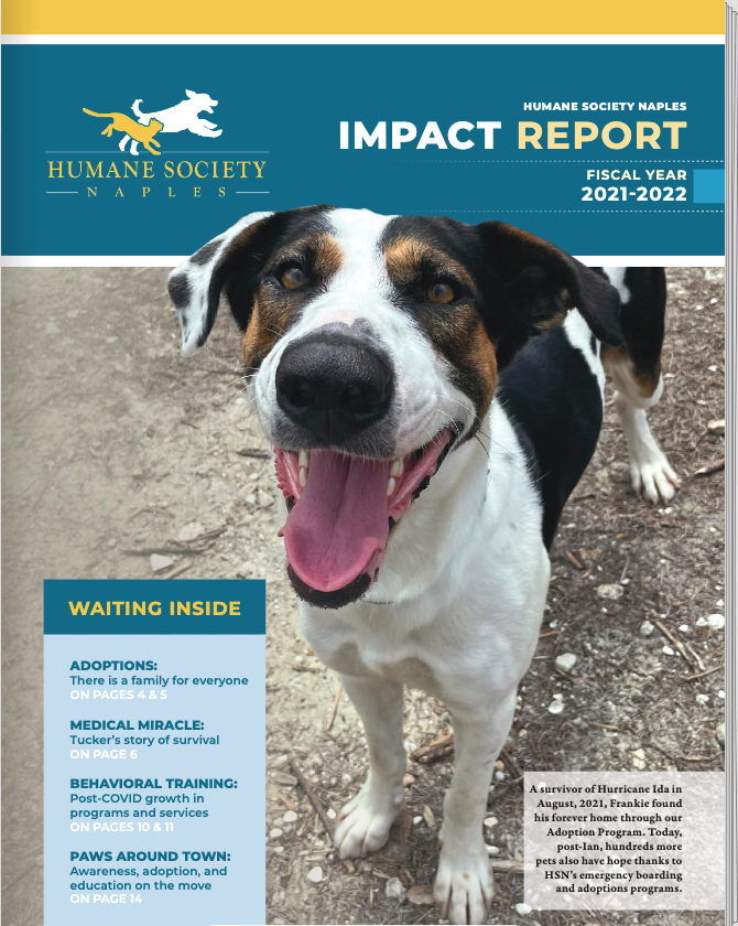 Annual Report Example from a nonprofit animal shelter created by Elephant Creative Co.